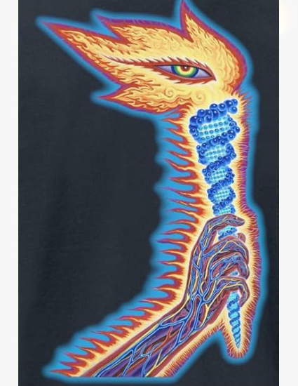 Remera 4 extra